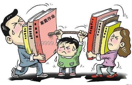 在学校挑战找陌生同学蹭饭：社交行为的心理、经济与社会影响深度分析